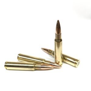 Product Image GP11 ammo